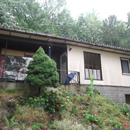 Bungalows Zur Alten Faehre Werder  Rum bild