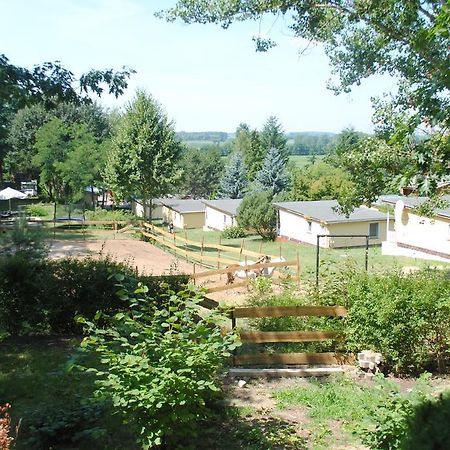 Bungalows Zur Alten Faehre Werder  Rum bild