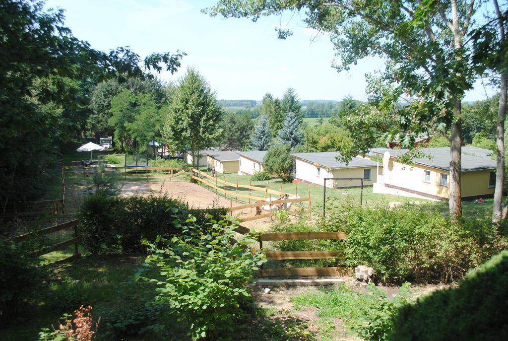 Bungalows Zur Alten Faehre Werder  Rum bild