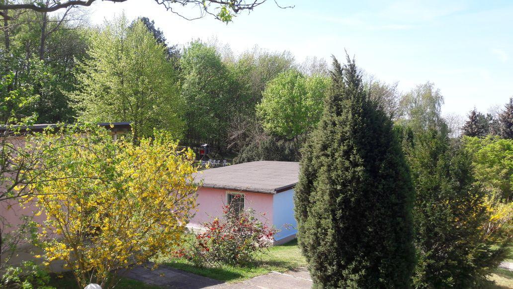 Bungalows Zur Alten Faehre Werder  Exteriör bild