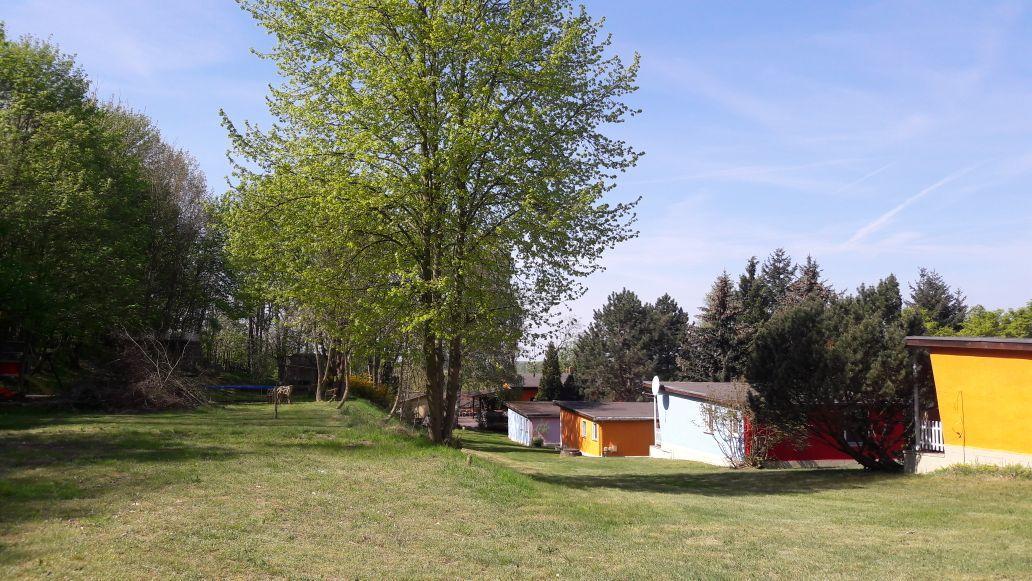 Bungalows Zur Alten Faehre Werder  Exteriör bild