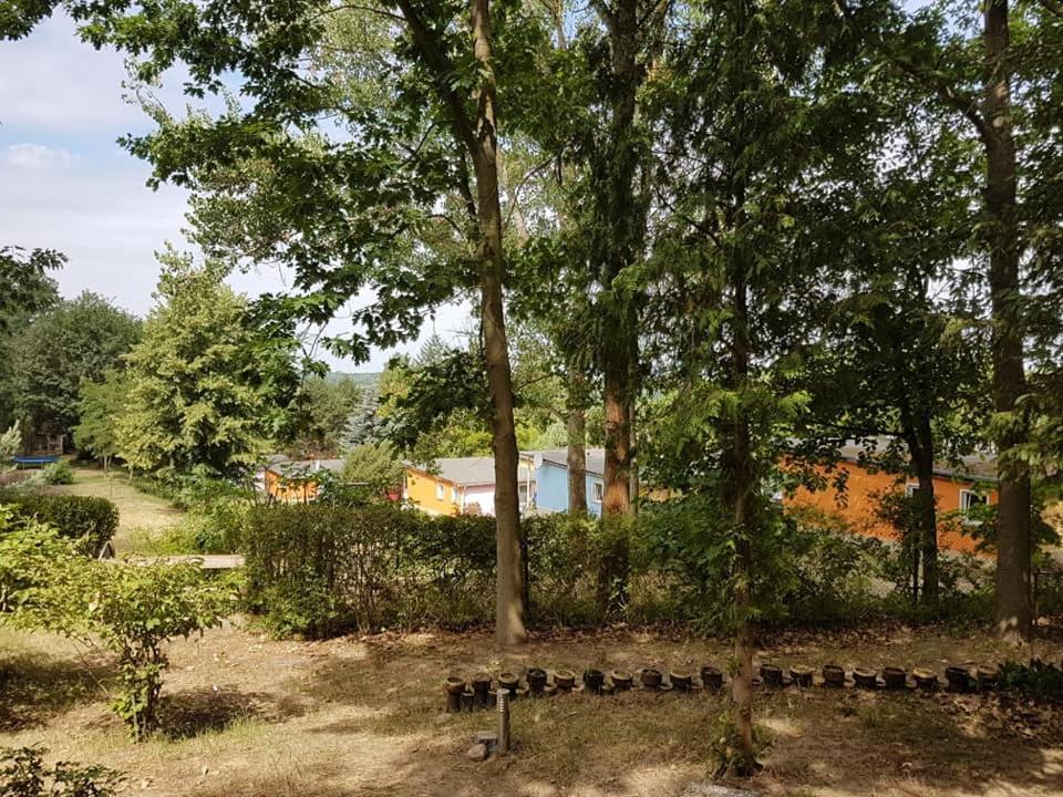 Bungalows Zur Alten Faehre Werder  Exteriör bild